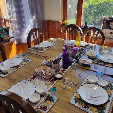 Aroma Taru Villa / Cottage ,Manali Ngoại thất bức ảnh