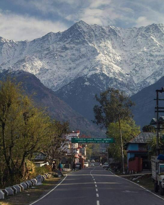 Aroma Taru Villa / Cottage ,Manali Ngoại thất bức ảnh