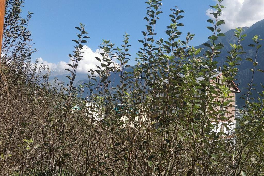 Aroma Taru Villa / Cottage ,Manali Ngoại thất bức ảnh