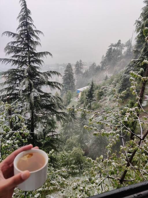 Aroma Taru Villa / Cottage ,Manali Ngoại thất bức ảnh