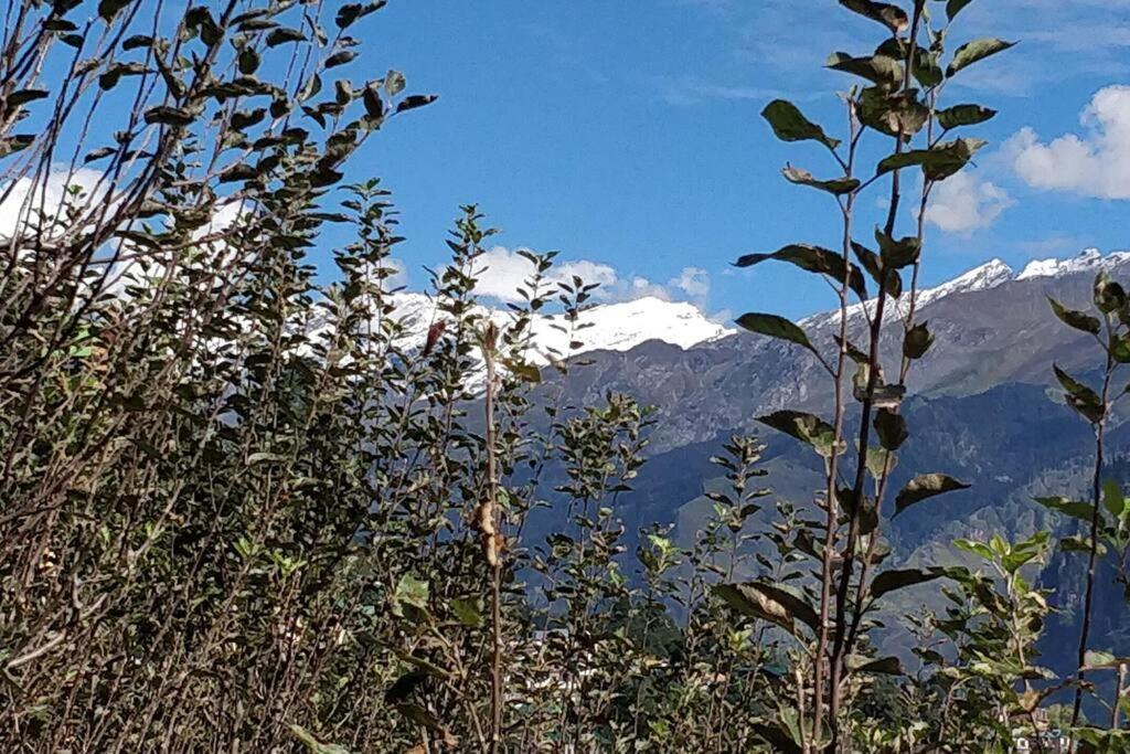 Aroma Taru Villa / Cottage ,Manali Ngoại thất bức ảnh